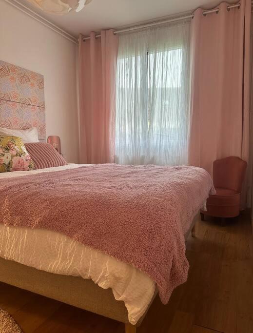 לאון Charmante Maison 10 Mn Center Parcs Ailette מראה חיצוני תמונה