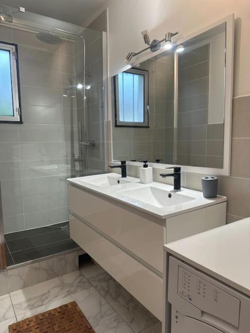 לאון Charmante Maison 10 Mn Center Parcs Ailette מראה חיצוני תמונה